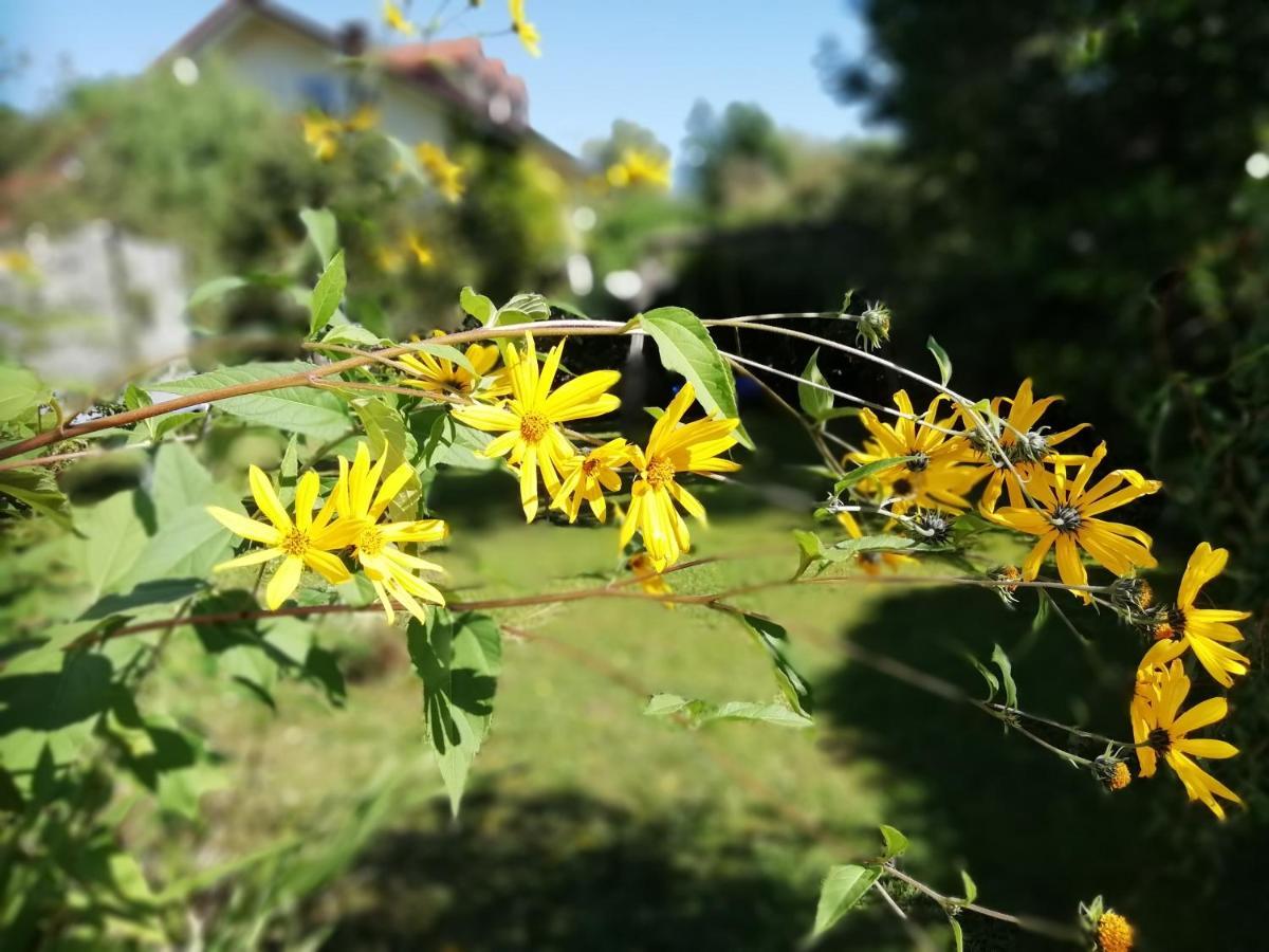 Fewo Happy Place In Traumhafter Lage See Nah Utting am Ammersee Exterior photo